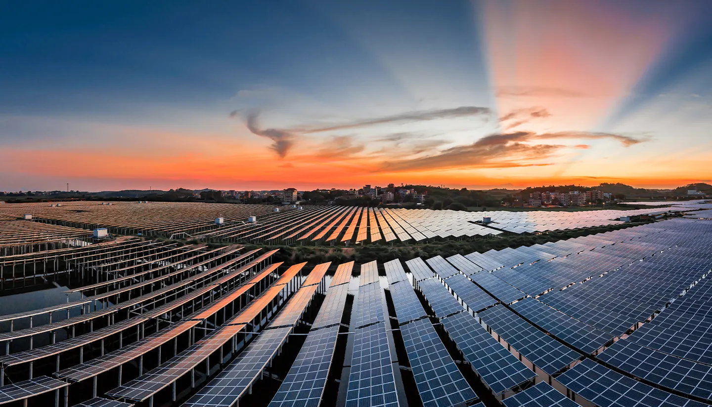 Seçkin Proje Yaklaşımı